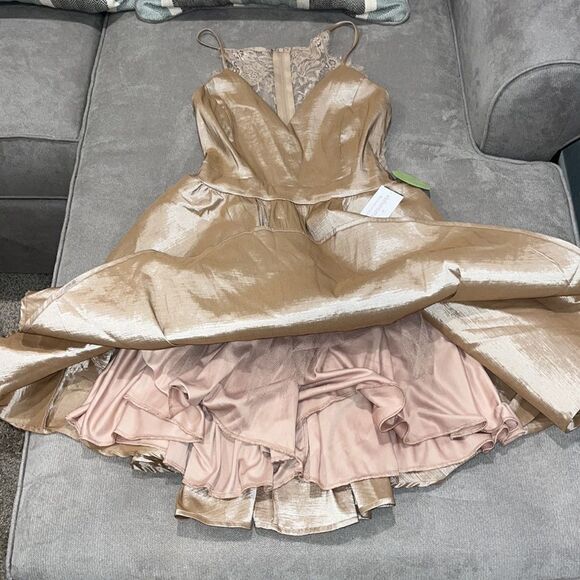 NWT- Beautiful Windsor nude colored designer cocktail dress - Picture 4 of 6